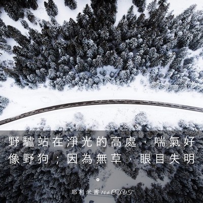 Picture 03 - 耶 利 米 書 14:6 CUVT - 野 驢 站 在 淨 光 的 高 處 ， 喘 氣 - Bible Verse Picture