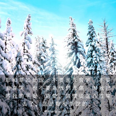 Picture 03 - 耶 利 米 書 16:5 CUVT - 耶 和 華 如 此 說 ： 不 要 進 入 喪 - Bible Verse Picture
