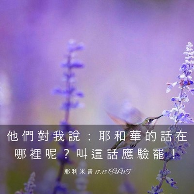 Picture 03 - 耶 利 米 書 17:15 CUVT - 他 們 對 我 說 ： 耶 和 華 的 話 在 - Bible Verse Picture
