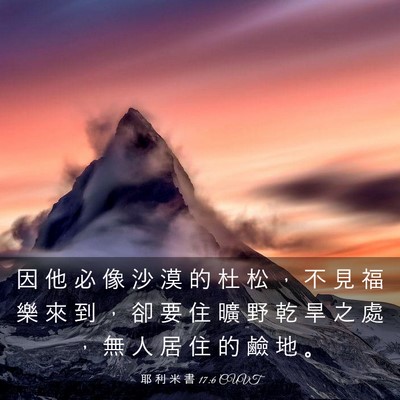 Picture 03 - 耶 利 米 書 17:6 CUVT - 因 他 必 像 沙 漠 的 杜 松 ， 不 見 - Bible Verse Picture