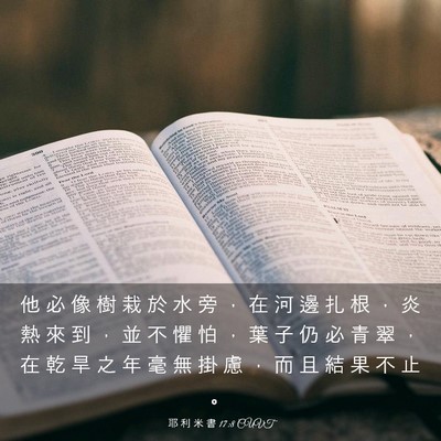 Picture 03 - 耶 利 米 書 17:8 CUVT - 他 必 像 樹 栽 於 水 旁 ， 在 河 邊 - Bible Verse Picture