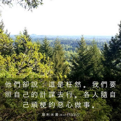 Picture 03 - 耶 利 米 書 18:12 CUVT - 他 們 卻 說 ： 這 是 枉 然 。 我 們 - Bible Verse Picture