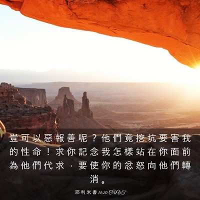 Picture 03 - 耶 利 米 書 18:20 CUVT - 豈 可 以 惡 報 善 呢 ？ 他 們 竟 挖 - Bible Verse Picture
