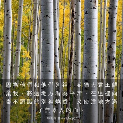 Picture 03 - 耶 利 米 書 19:4 CUVT - 因 為 他 們 和 他 們 列 祖 ， 並 猶 - Bible Verse Picture