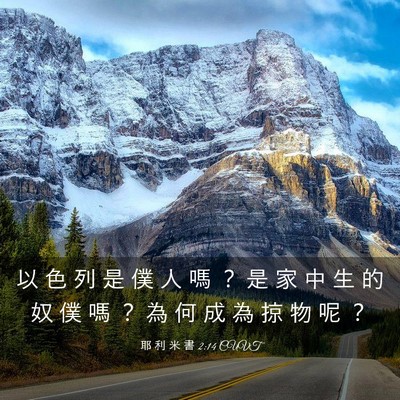 Picture 03 - 耶 利 米 書 2:14 CUVT - 以 色 列 是 僕 人 嗎 ？ 是 家 中 生 - Bible Verse Picture