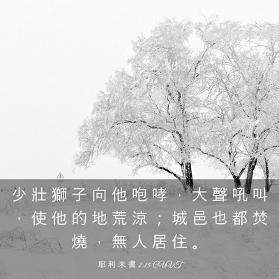 Picture 03 - 耶 利 米 書 2:15 CUVT - 少 壯 獅 子 向 他 咆 哮 ， 大 聲 吼 - Bible Verse Picture