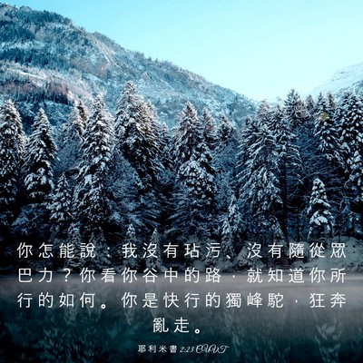 Picture 03 - 耶 利 米 書 2:23 CUVT - 你 怎 能 說 ： 我 沒 有 玷 污 、 沒 - Bible Verse Picture