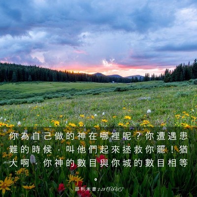 Picture 03 - 耶 利 米 書 2:28 CUVT - 你 為 自 己 做 的 神 在 哪 裡 呢 ？ - Bible Verse Picture