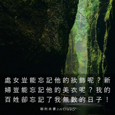 Picture 03 - 耶 利 米 書 2:32 CUVT - 處 女 豈 能 忘 記 他 的 妝 飾 呢 ？ - Bible Verse Picture