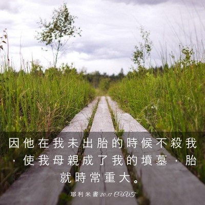 Picture 03 - 耶 利 米 書 20:17 CUVT - 因 他 在 我 未 出 胎 的 時 候 不 殺 - Bible Verse Picture