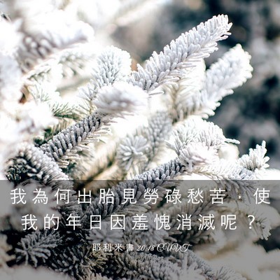 Picture 03 - 耶 利 米 書 20:18 CUVT - 我 為 何 出 胎 見 勞 碌 愁 苦 ， 使 - Bible Verse Picture