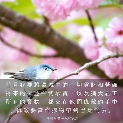 Picture 03 - 耶 利 米 書 20:5 CUVT - 並 且 我 要 將 這 城 中 的 一 切 貨 - Bible Verse Picture