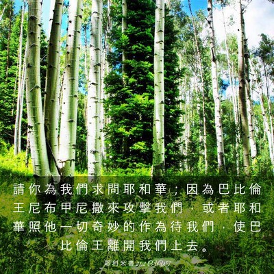 Picture 03 - 耶 利 米 書 21:2 CUVT - 請 你 為 我 們 求 問 耶 和 華 ； 因 - Bible Verse Picture