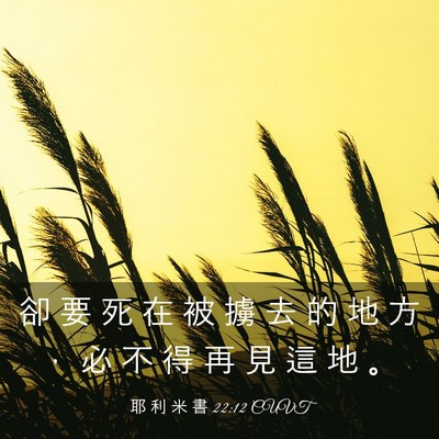 Picture 03 - 耶 利 米 書 22:12 CUVT - 卻 要 死 在 被 擄 去 的 地 方 ， 必 - Bible Verse Picture