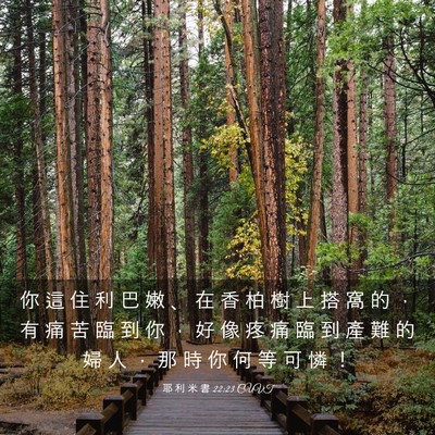 Picture 03 - 耶 利 米 書 22:23 CUVT - 你 這 住 利 巴 嫩 、 在 香 柏 樹 上 - Bible Verse Picture