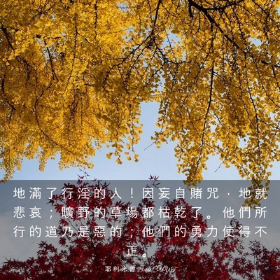 Picture 03 - 耶 利 米 書 23:10 CUVT - 地 滿 了 行 淫 的 人 ！ 因 妄 自 賭 - Bible Verse Picture