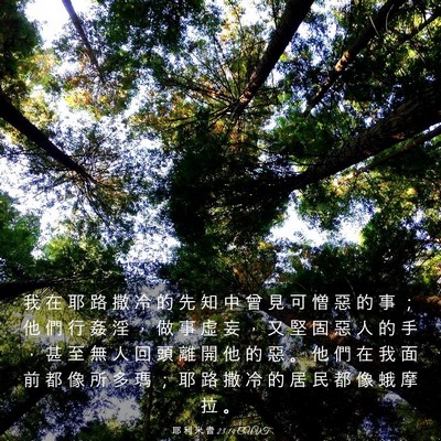 Picture 03 - 耶 利 米 書 23:14 CUVT - 我 在 耶 路 撒 冷 的 先 知 中 曾 見 - Bible Verse Picture