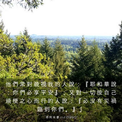 Picture 03 - 耶 利 米 書 23:17 CUVT - 他 們 常 對 藐 視 我 的 人 說 ： 『 - Bible Verse Picture