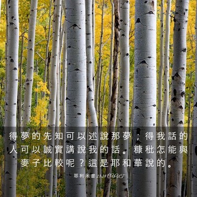 Picture 03 - 耶 利 米 書 23:28 CUVT - 得 夢 的 先 知 可 以 述 說 那 夢 ； - Bible Verse Picture