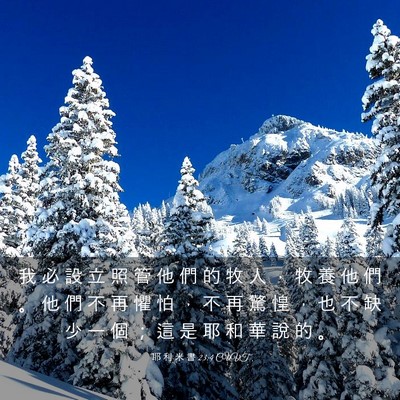 Picture 03 - 耶 利 米 書 23:4 CUVT - 我 必 設 立 照 管 他 們 的 牧 人 ， - Bible Verse Picture