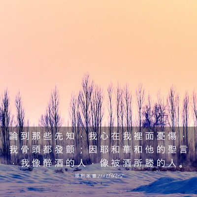 Picture 03 - 耶 利 米 書 23:9 CUVT - 論 到 那 些 先 知 ， 我 心 在 我 裡 - Bible Verse Picture