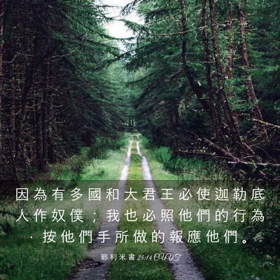 Picture 03 - 耶 利 米 書 25:14 CUVT - 因 為 有 多 國 和 大 君 王 必 使 迦 - Bible Verse Picture