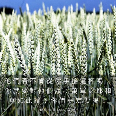 Picture 03 - 耶 利 米 書 25:28 CUVT - 他 們 若 不 肯 從 你 手 接 這 杯 喝 - Bible Verse Picture