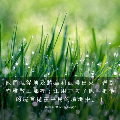 Picture 03 - 耶 利 米 書 26:23 CUVT - 他 們 就 從 埃 及 將 烏 利 亞 帶 出 - Bible Verse Picture