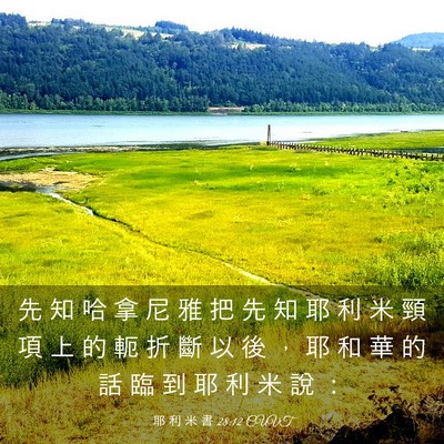 Picture 03 - 耶 利 米 書 28:12 CUVT - 先 知 哈 拿 尼 雅 把 先 知 耶 利 米 - Bible Verse Picture