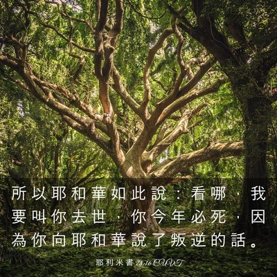 Picture 03 - 耶 利 米 書 28:16 CUVT - 所 以 耶 和 華 如 此 說 ： 看 哪 ， - Bible Verse Picture