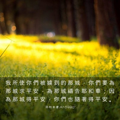 Picture 03 - 耶 利 米 書 29:7 CUVT - 我 所 使 你 們 被 擄 到 的 那 城 ， - Bible Verse Picture