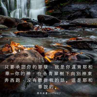 Picture 03 - 耶 利 米 書 3:13 CUVT - 只 要 承 認 你 的 罪 孽 ， 就 是 你 - Bible Verse Picture