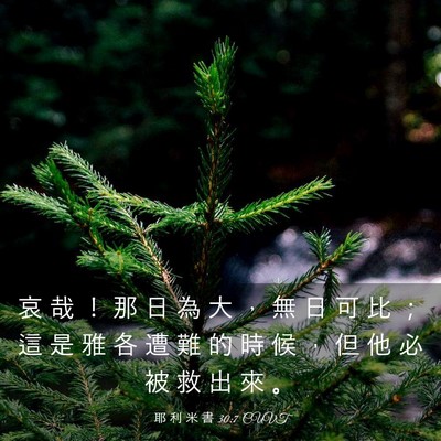 Picture 03 - 耶 利 米 書 30:7 CUVT - 哀 哉 ！ 那 日 為 大 ， 無 日 可 比 - Bible Verse Picture