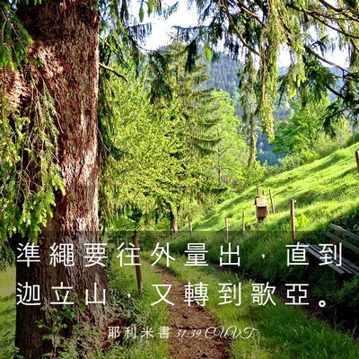 Picture 03 - 耶 利 米 書 31:39 CUVT - 準 繩 要 往 外 量 出 ， 直 到 迦 立 - Bible Verse Picture