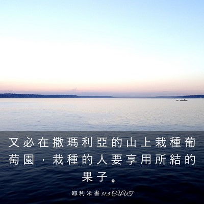 Picture 03 - 耶 利 米 書 31:5 CUVT - 又 必 在 撒 瑪 利 亞 的 山 上 栽 種 - Bible Verse Picture
