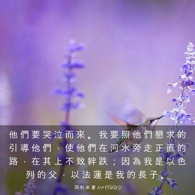 Picture 03 - 耶 利 米 書 31:9 CUVT - 他 們 要 哭 泣 而 來 。 我 要 照 他 - Bible Verse Picture