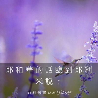 Picture 03 - 耶 利 米 書 32:26 CUVT - 耶 和 華 的 話 臨 到 耶 利 米 說 - Bible Verse Picture