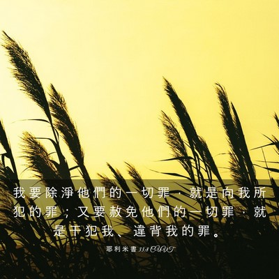Picture 03 - 耶 利 米 書 33:8 CUVT - 我 要 除 淨 他 們 的 一 切 罪 ， 就 - Bible Verse Picture