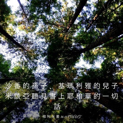Picture 03 - 耶 利 米 書 36:11 CUVT - 沙 番 的 孫 子 、 基 瑪 利 雅 的 兒 - Bible Verse Picture