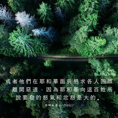 Picture 03 - 耶 利 米 書 36:7 CUVT - 或 者 他 們 在 耶 和 華 面 前 懇 求 - Bible Verse Picture