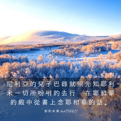 Picture 03 - 耶 利 米 書 36:8 CUVT - 尼 利 亞 的 兒 子 巴 錄 就 照 先 知 - Bible Verse Picture