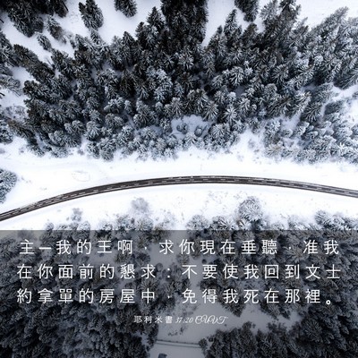 Picture 03 - 耶 利 米 書 37:20 CUVT - 主 ─ 我 的 王 啊 ， 求 你 現 在 垂 - Bible Verse Picture