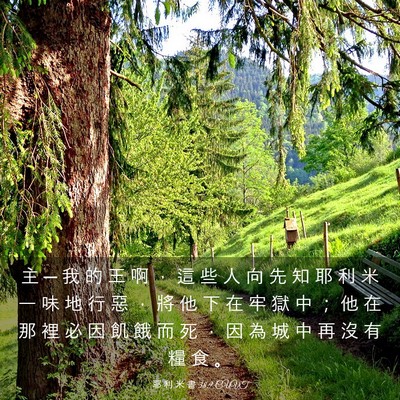 Picture 03 - 耶 利 米 書 38:9 CUVT - 主 ─ 我 的 王 啊 ， 這 些 人 向 先 - Bible Verse Picture
