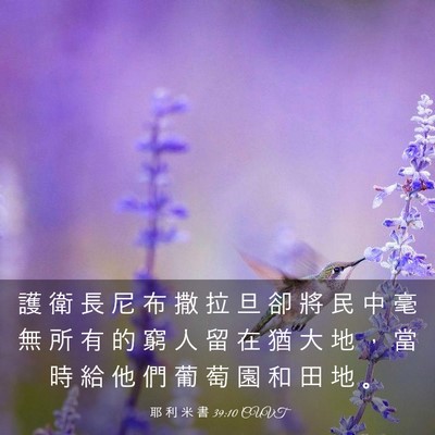Picture 03 - 耶 利 米 書 39:10 CUVT - 護 衛 長 尼 布 撒 拉 旦 卻 將 民 中 - Bible Verse Picture