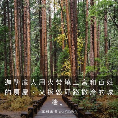 Picture 03 - 耶 利 米 書 39:8 CUVT - 迦 勒 底 人 用 火 焚 燒 王 宮 和 百 - Bible Verse Picture