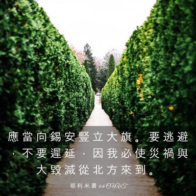 Picture 03 - 耶 利 米 書 4:6 CUVT - 應 當 向 錫 安 豎 立 大 旗 。 要 逃 - Bible Verse Picture