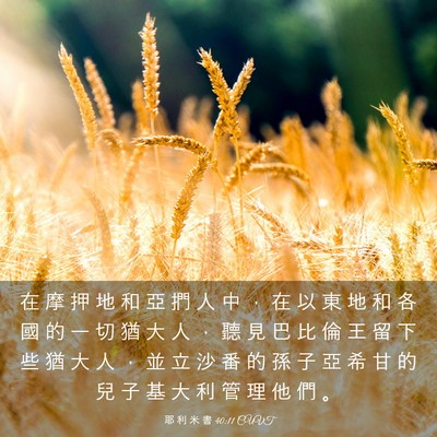 Picture 03 - 耶 利 米 書 40:11 CUVT - 在 摩 押 地 和 亞 捫 人 中 ， 在 以 - Bible Verse Picture