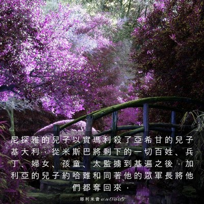 Picture 03 - 耶 利 米 書 41:16 CUVT - 尼 探 雅 的 兒 子 以 實 瑪 利 殺 了 - Bible Verse Picture