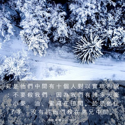 Picture 03 - 耶 利 米 書 41:8 CUVT - 只 是 他 們 中 間 有 十 個 人 對 以 - Bible Verse Picture
