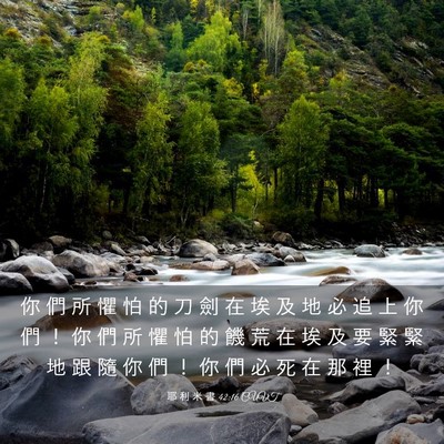 Picture 03 - 耶 利 米 書 42:16 CUVT - 你 們 所 懼 怕 的 刀 劍 在 埃 及 地 - Bible Verse Picture
